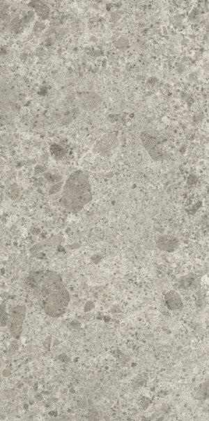 GRIGIO LUMINOSO ARIOSTEA