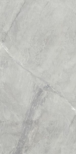 GRIS DE SAVOIE 100x100 ARIOSTEA