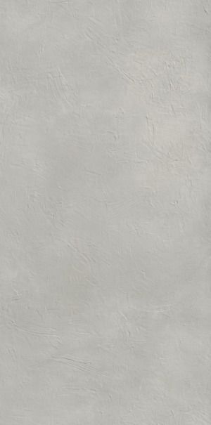 SILICIO ARIOSTEA