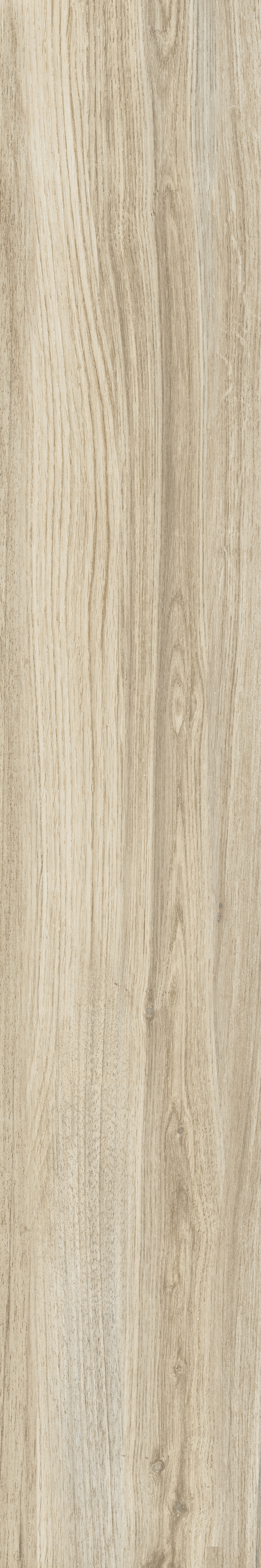 EVO LAND BEIGE 20x120 CAPRI