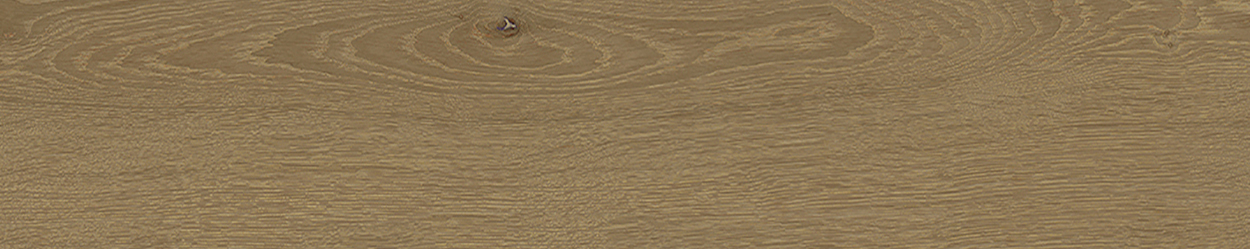 BREMEN ROBLE 19,3x120 PORCELANOSA