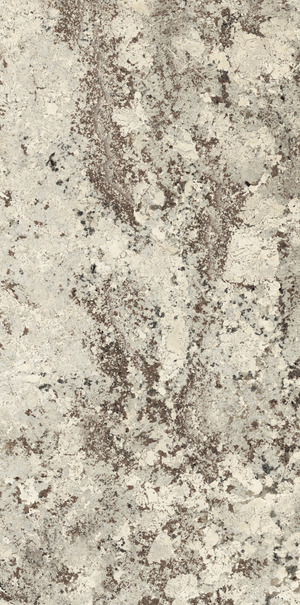 ALASKA WHITE ARIOSTEA