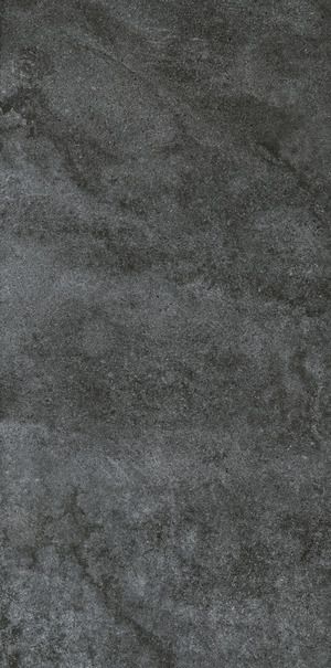 SAN VICENTE LIMESTONE ARIOSTEA