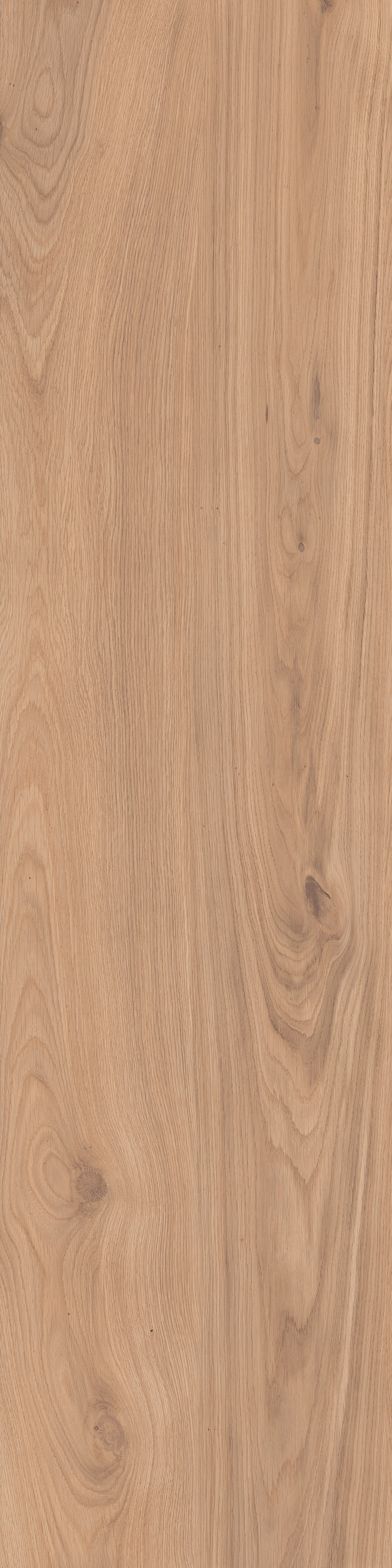 ELISIR  DOROATO 20x120 MARCA CORONA