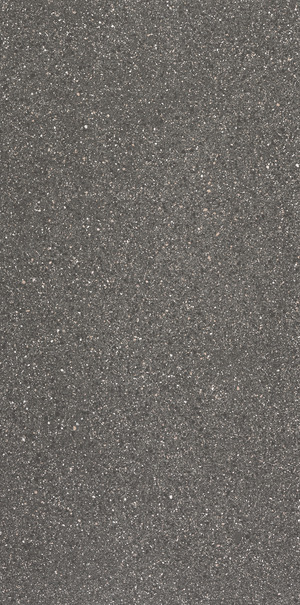 VERONESE ARIOSTEA